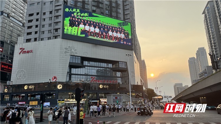 每支球队都, Zd, Pd