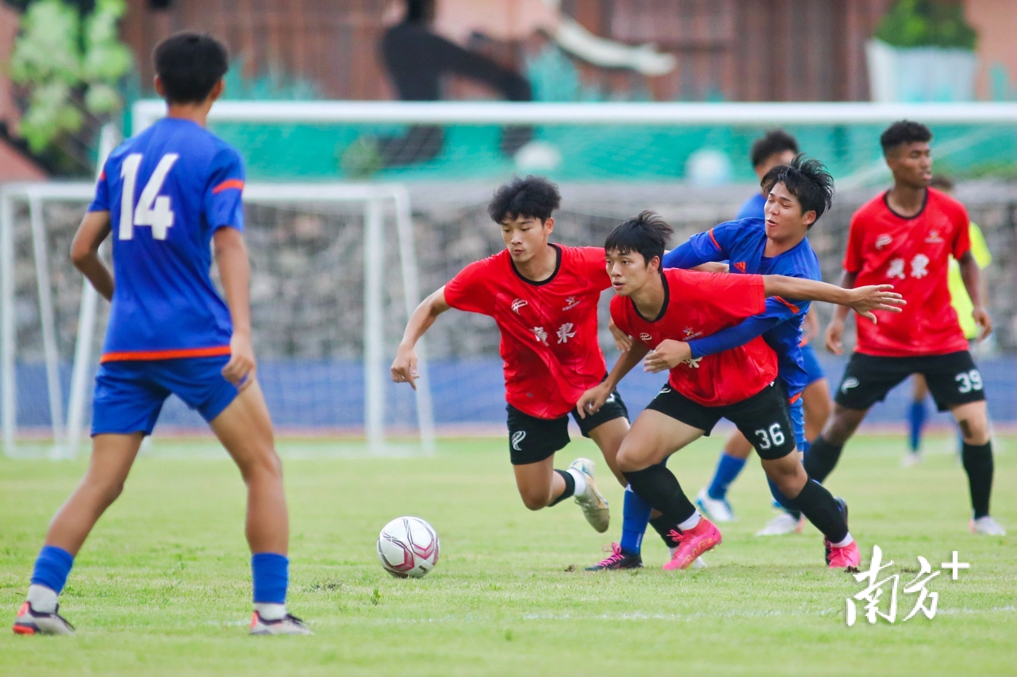 东道主广东, 记者 东道主广东, 记者